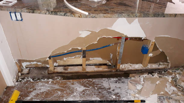 Best Water damage cleanup near me  in Nixon, TX