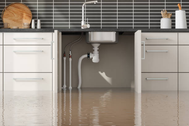 Best 24/7 water damage repair  in Nixon, TX