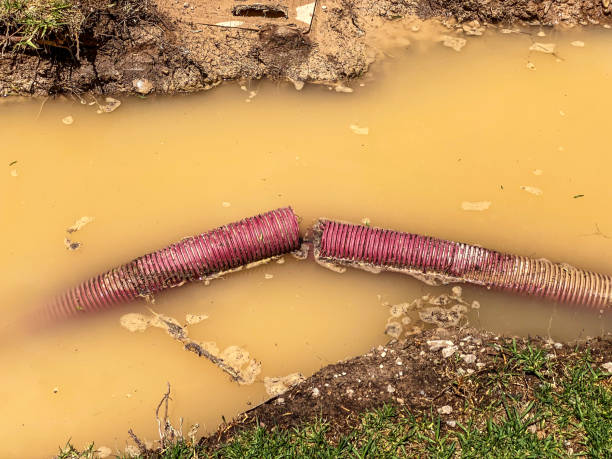 Best Commercial water damage restoration  in Nixon, TX